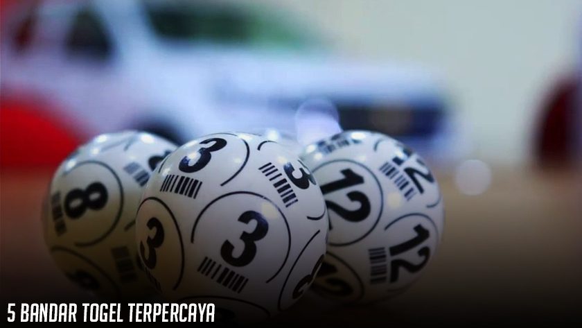 5 Bandar Togel Terpercaya